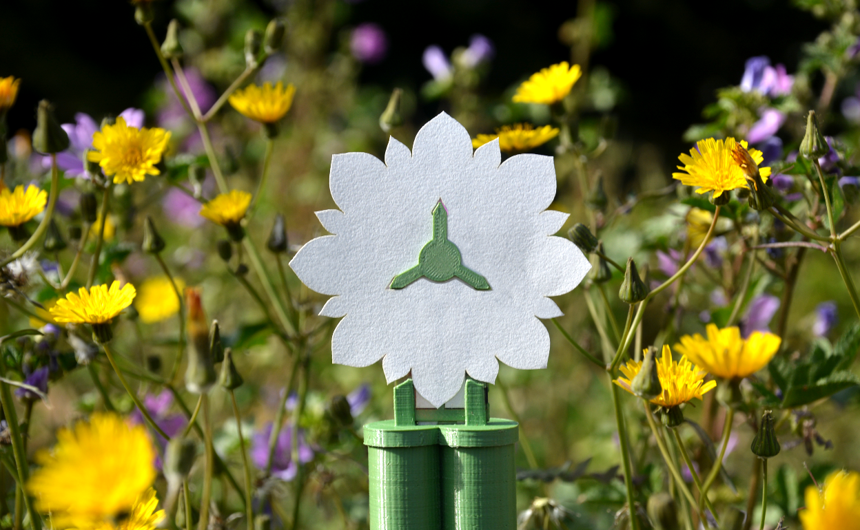 Imagen del prototipo.