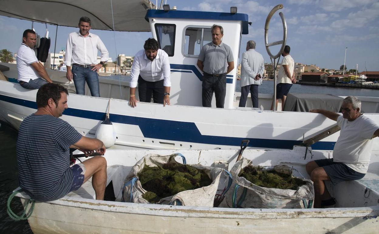 Fernando López Miras visita los trabajos de retirada de algas en el Mar Menor, este jueves.