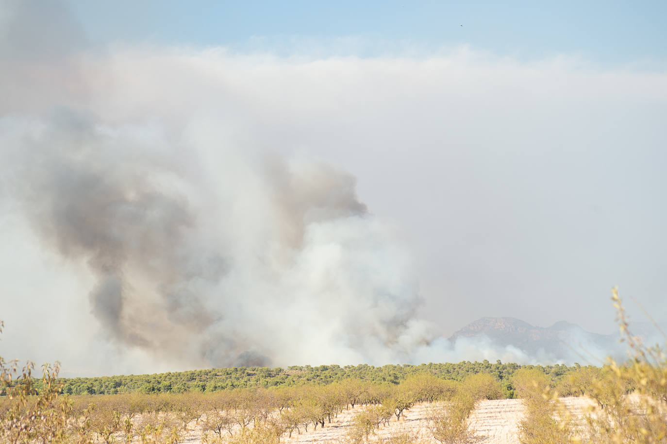 Fotos: El incendio de Jumilla ha calcinado ya 400 hectáreas