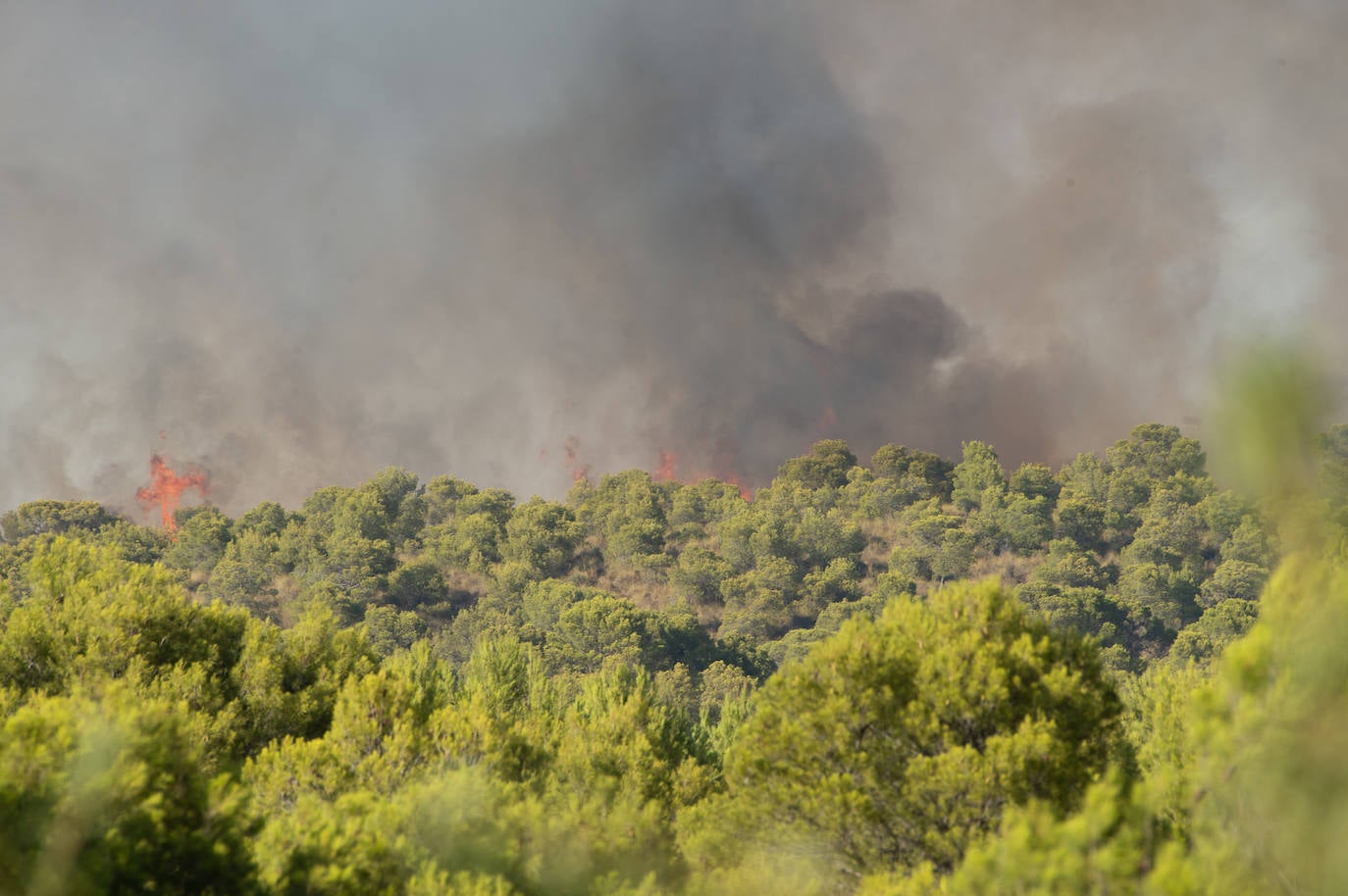 Fotos: El incendio de Jumilla ha calcinado ya 400 hectáreas