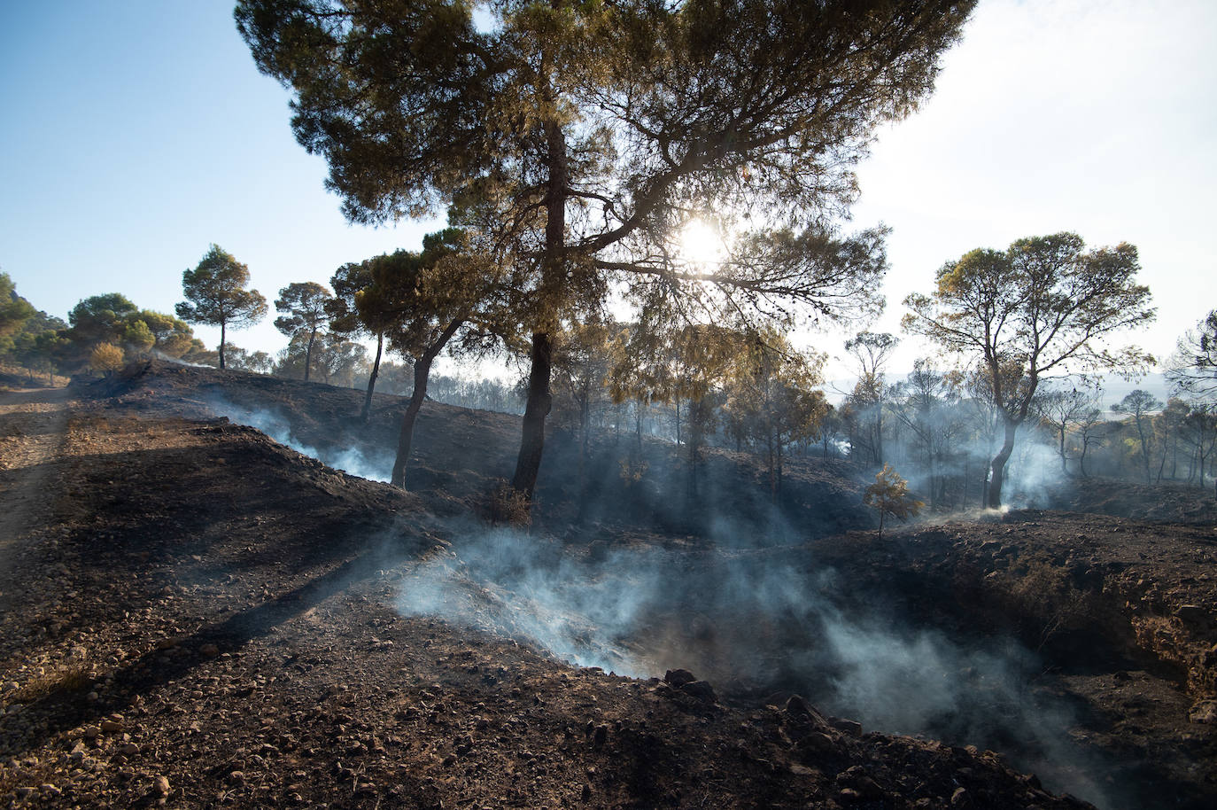 Fotos: El incendio de Jumilla ha calcinado ya 400 hectáreas