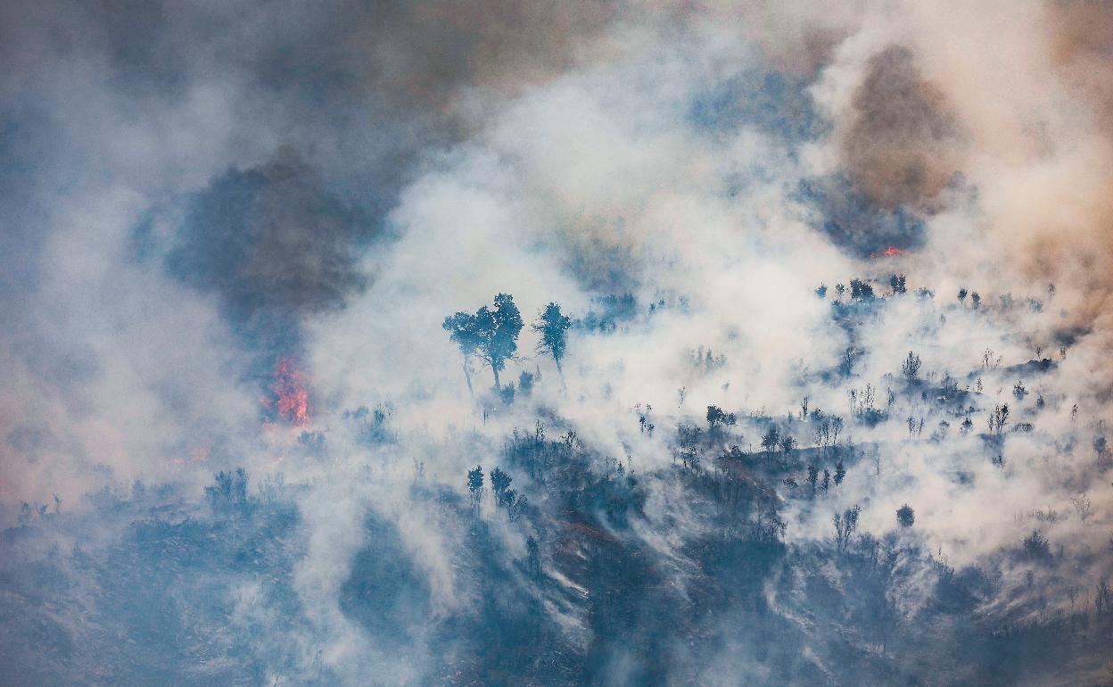 Incendio en Bejís este verano.