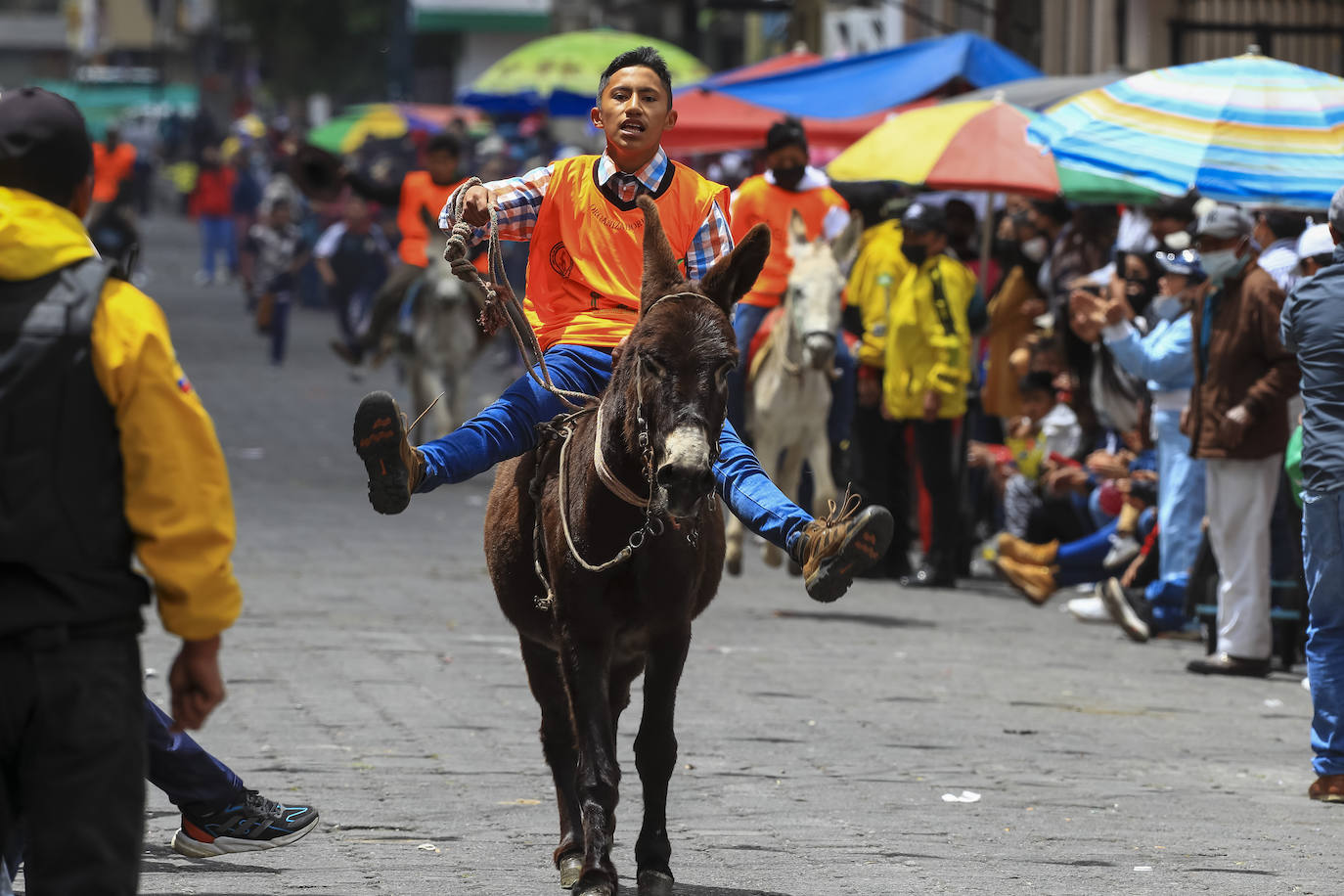 Fotos: Carrera de burros