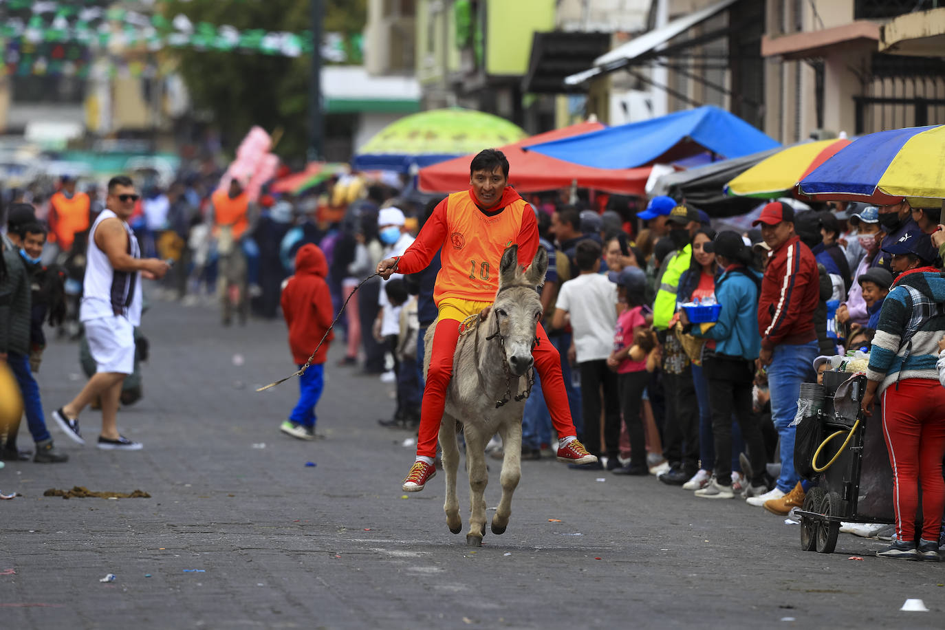 Fotos: Carrera de burros