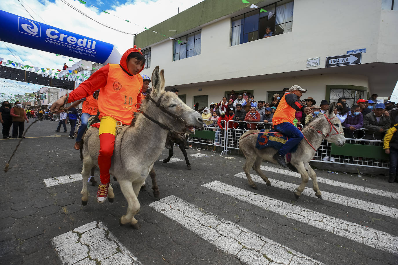 Fotos: Carrera de burros