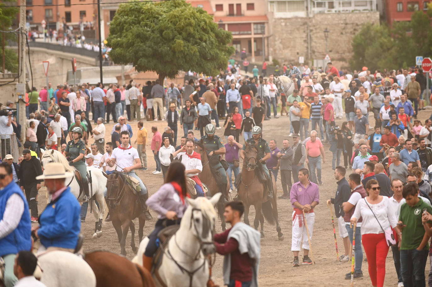 Fotos: El encierro del Toro de la Vega, en imágenes