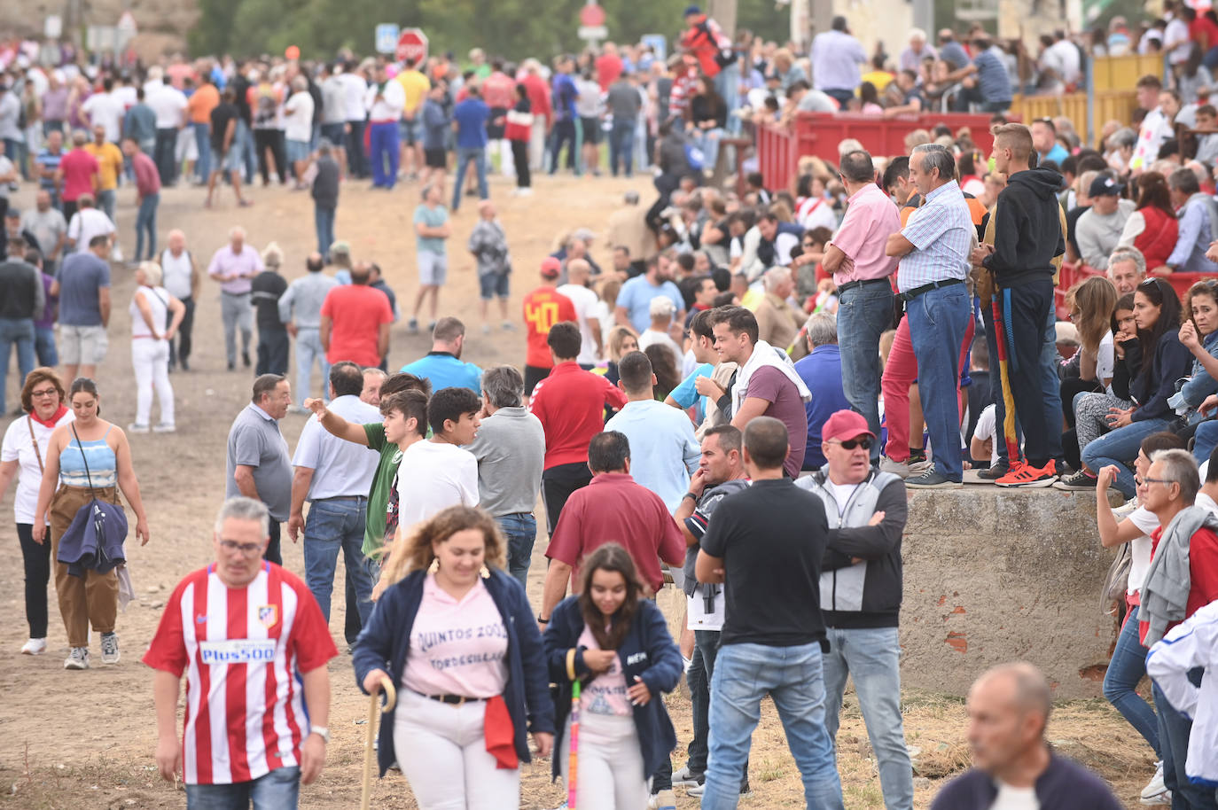 Fotos: El encierro del Toro de la Vega, en imágenes