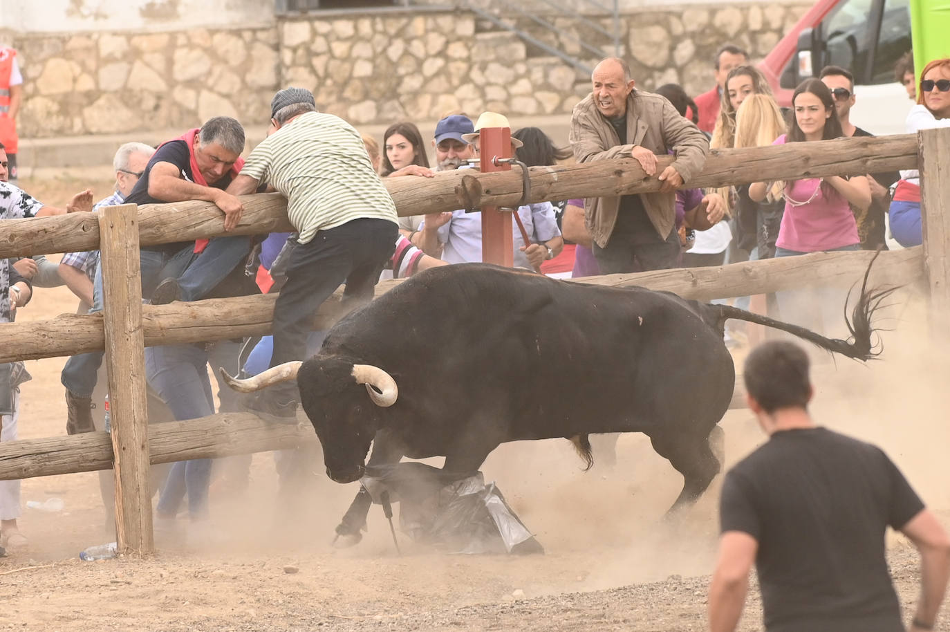 Fotos: El encierro del Toro de la Vega, en imágenes