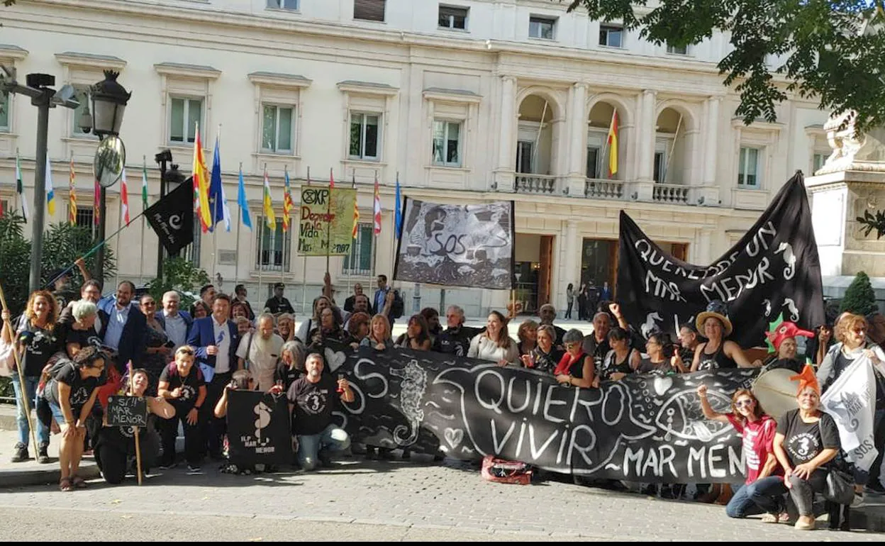 Promotores y simpatizantes de la Iniciativa Legislativa Popular del Mar Menor, en el exterior del Senado.