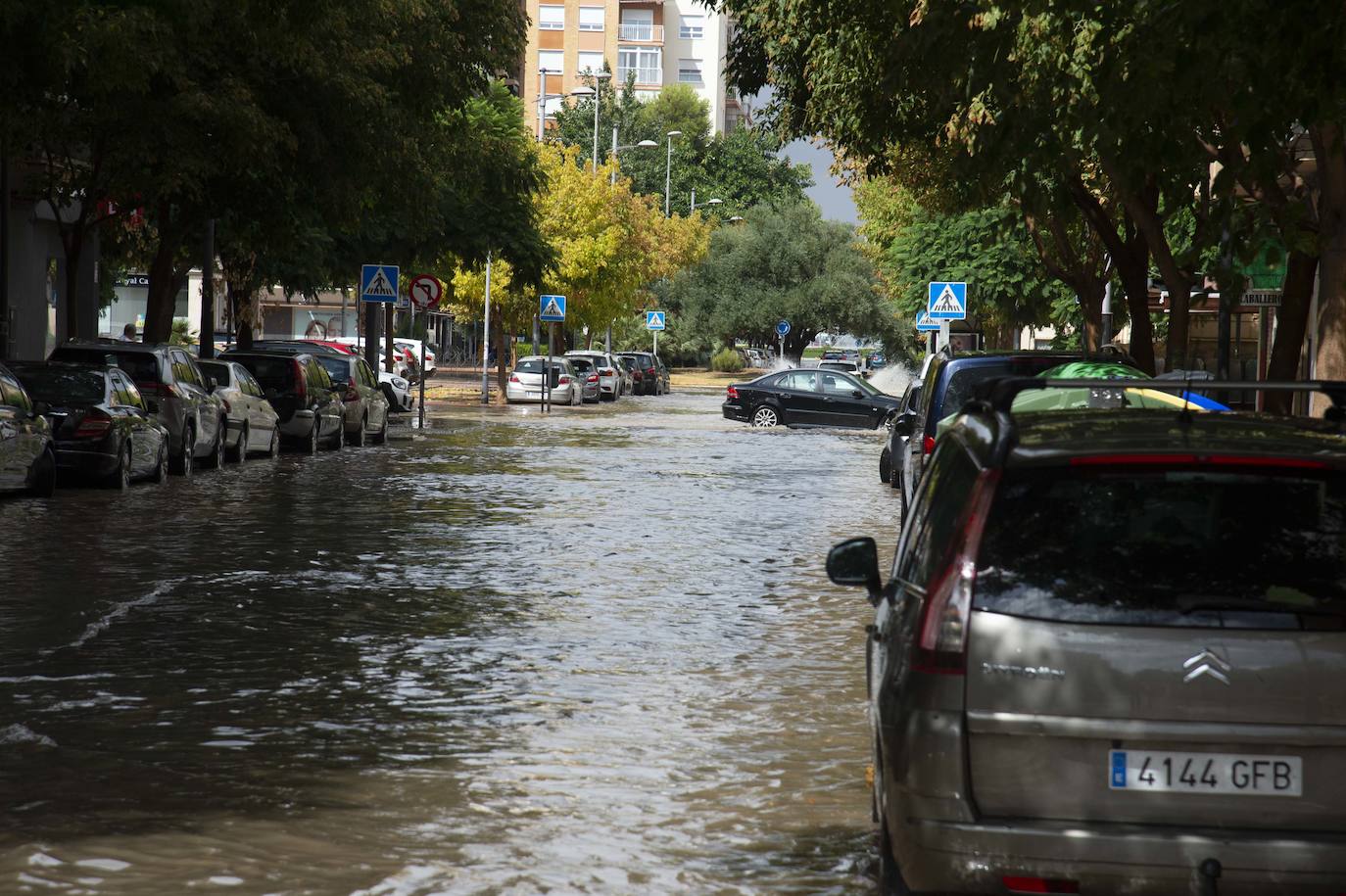 Las precipitaciones en Cartagena.