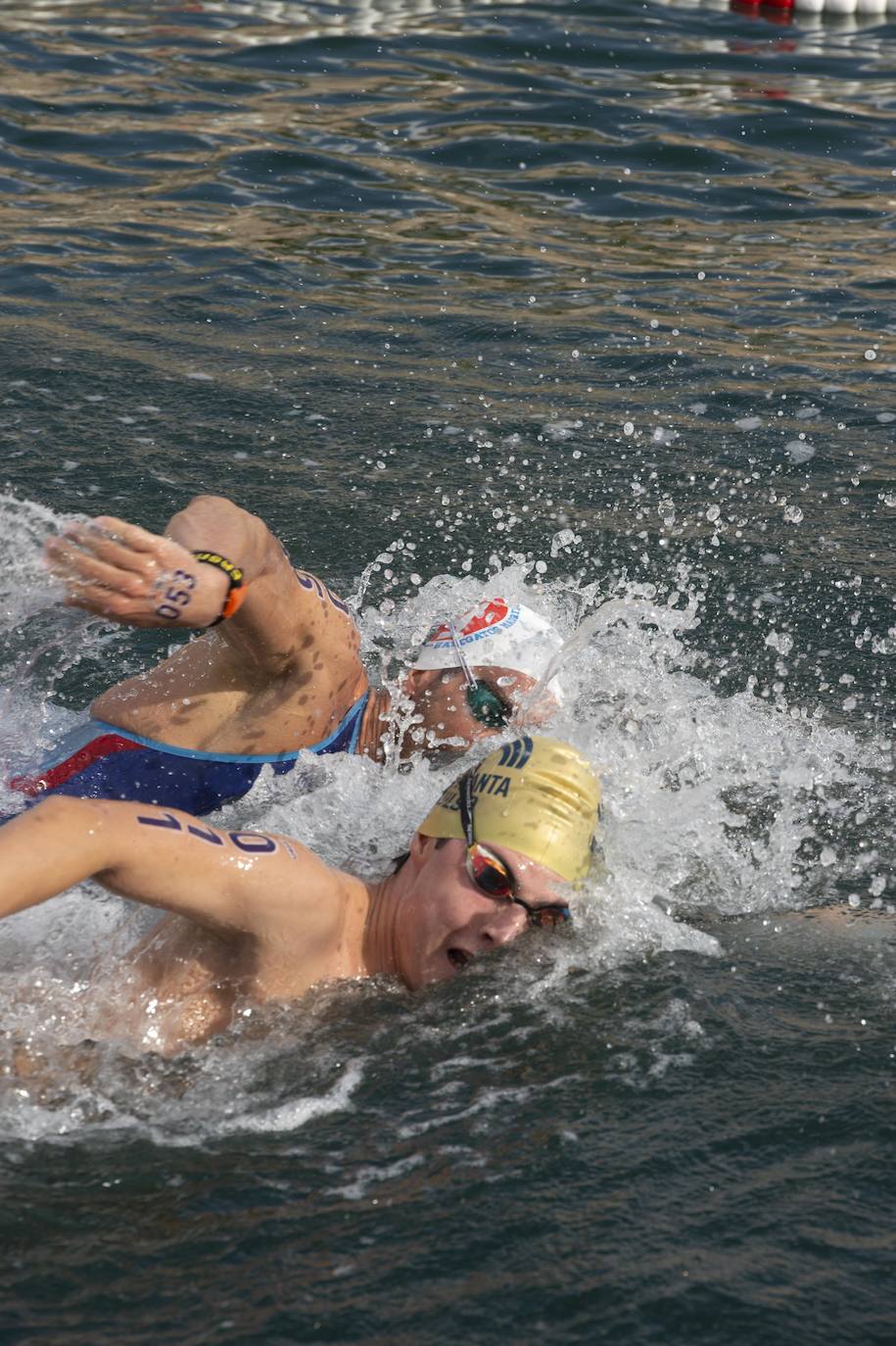 Fotos: Fase final de la Copa de España de aguas abiertas celebrado en Cartagena