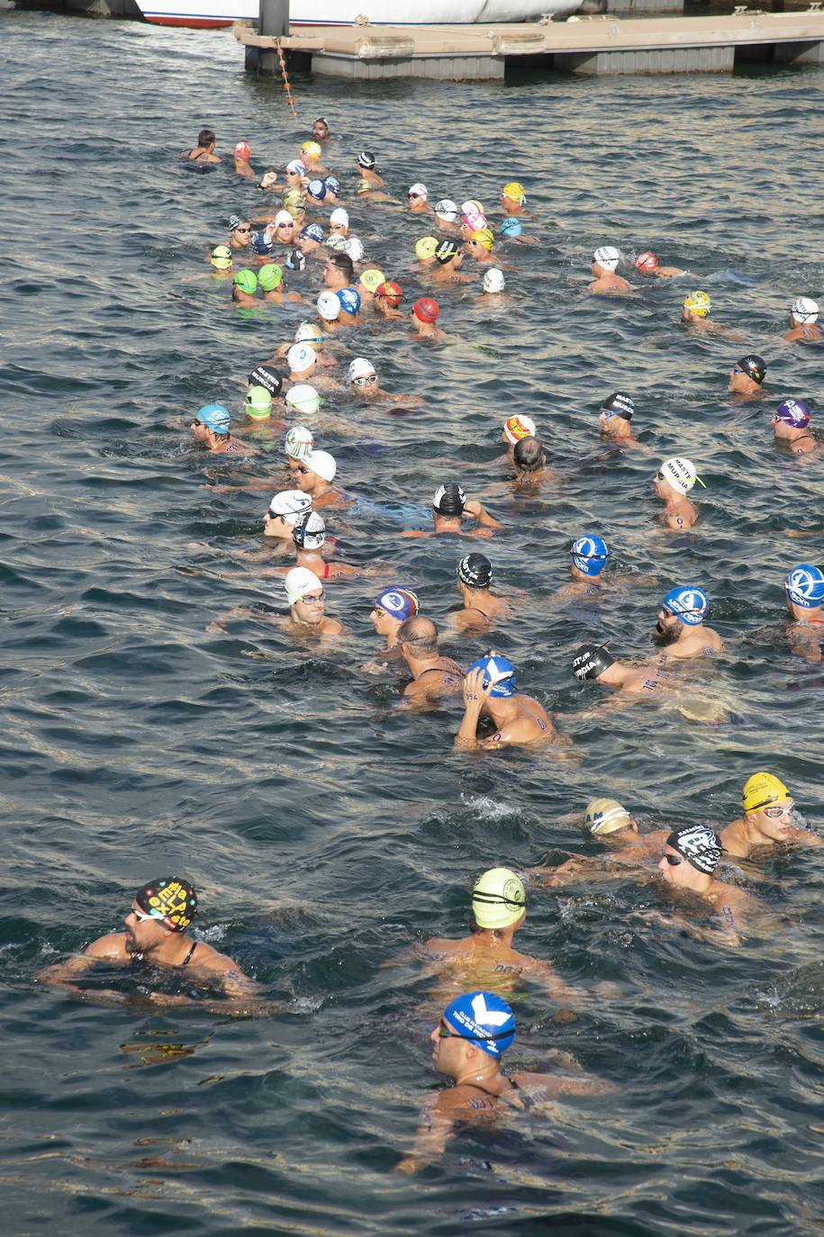 Fotos: Fase final de la Copa de España de aguas abiertas celebrado en Cartagena