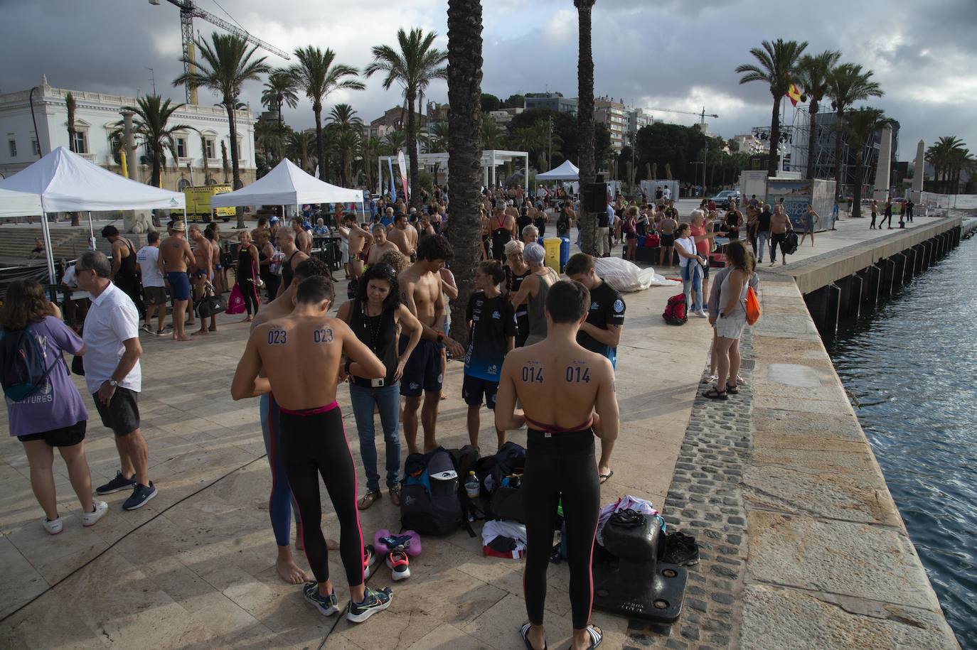 Fotos: Fase final de la Copa de España de aguas abiertas celebrado en Cartagena