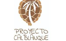 Un bosque en Calblanque