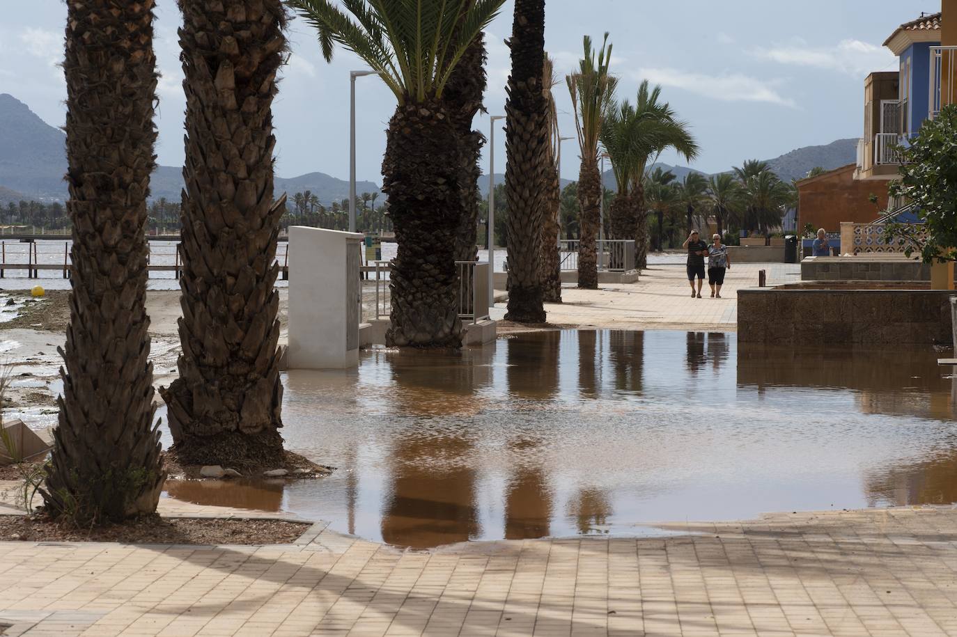 Fotos: Escorrentías por las intensas lluvias en Los Urrutias