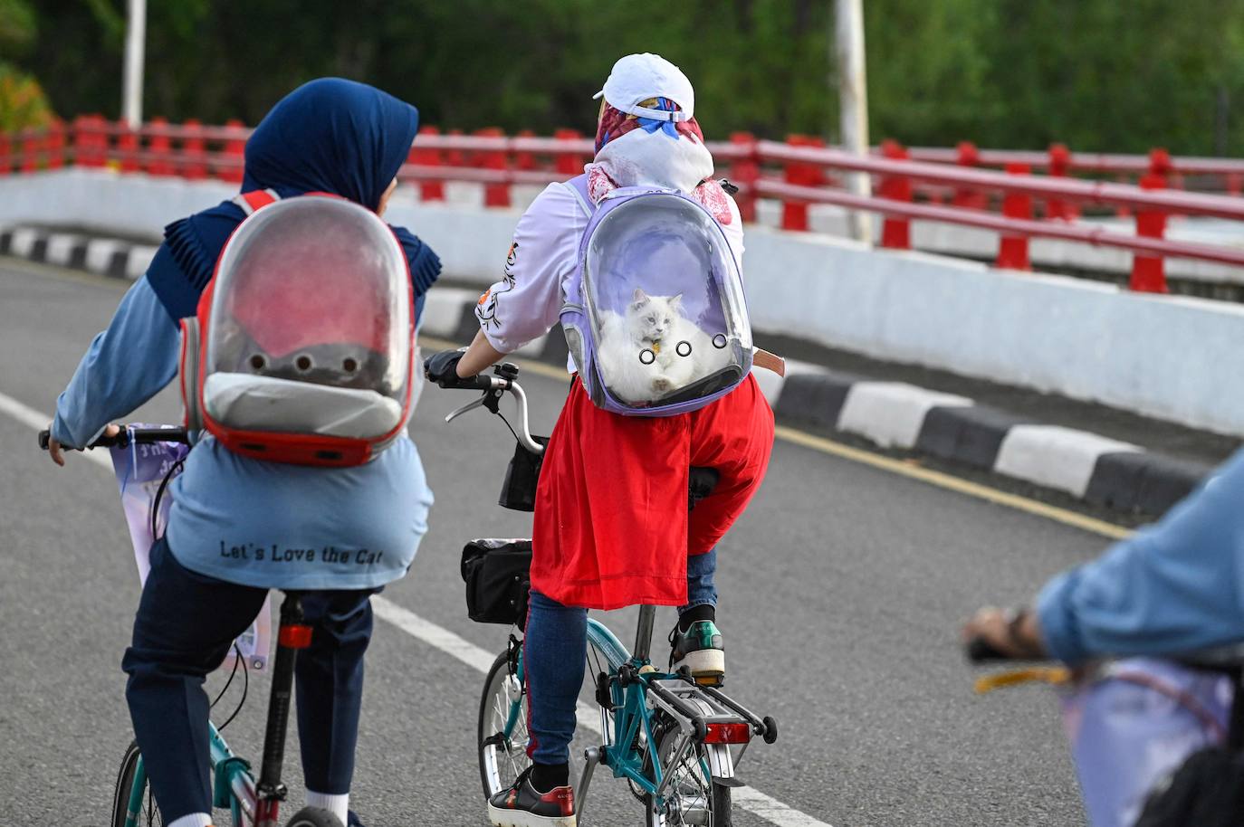 Fotos: Día Mundial del Animal en Indonesia