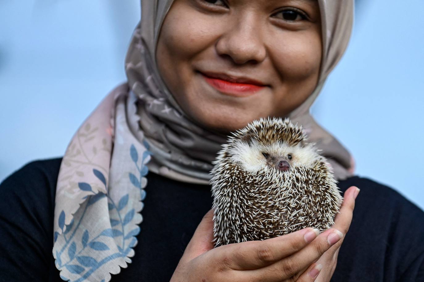 Fotos: Día Mundial del Animal en Indonesia