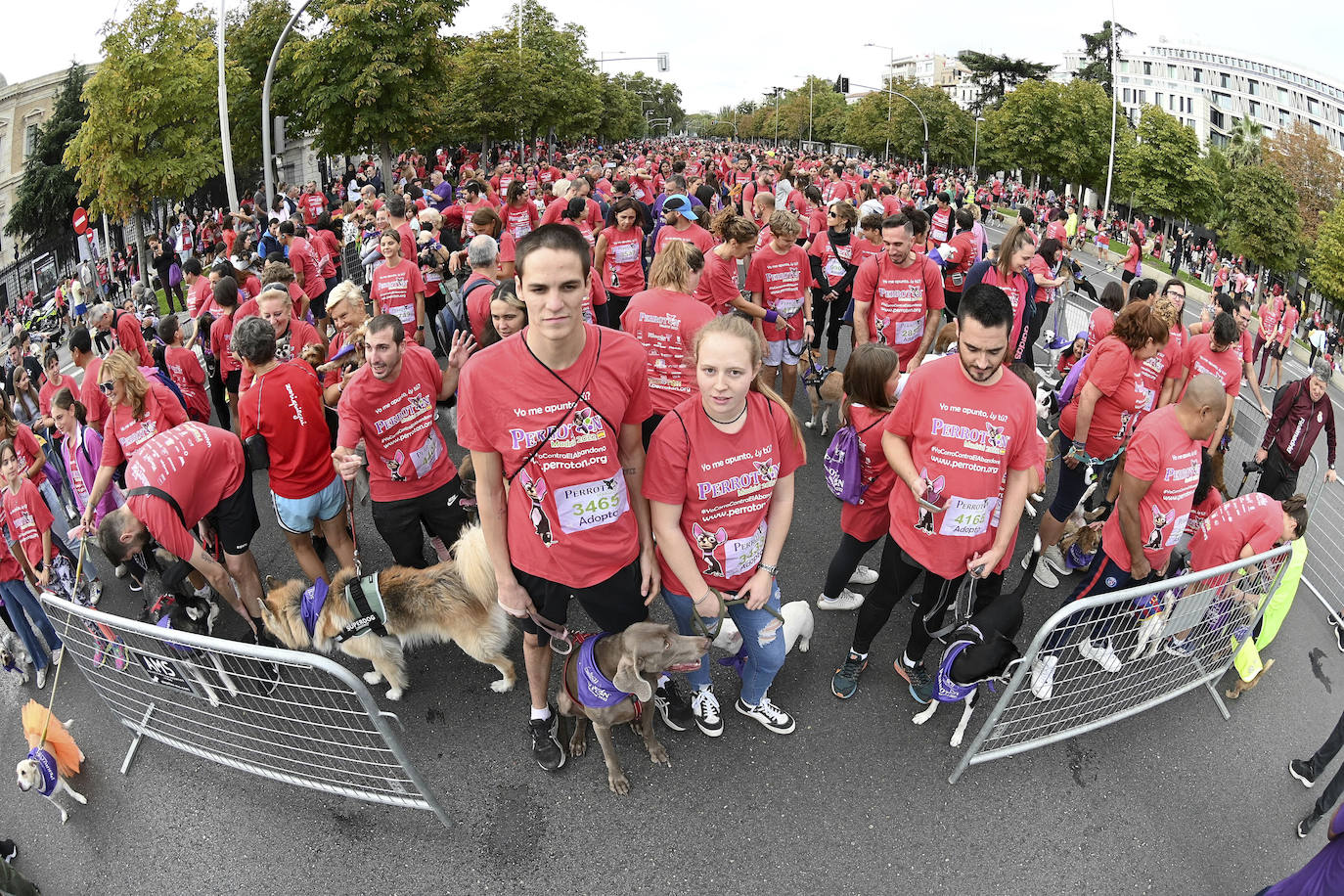 Fotos: Perrotón Madrid 2022