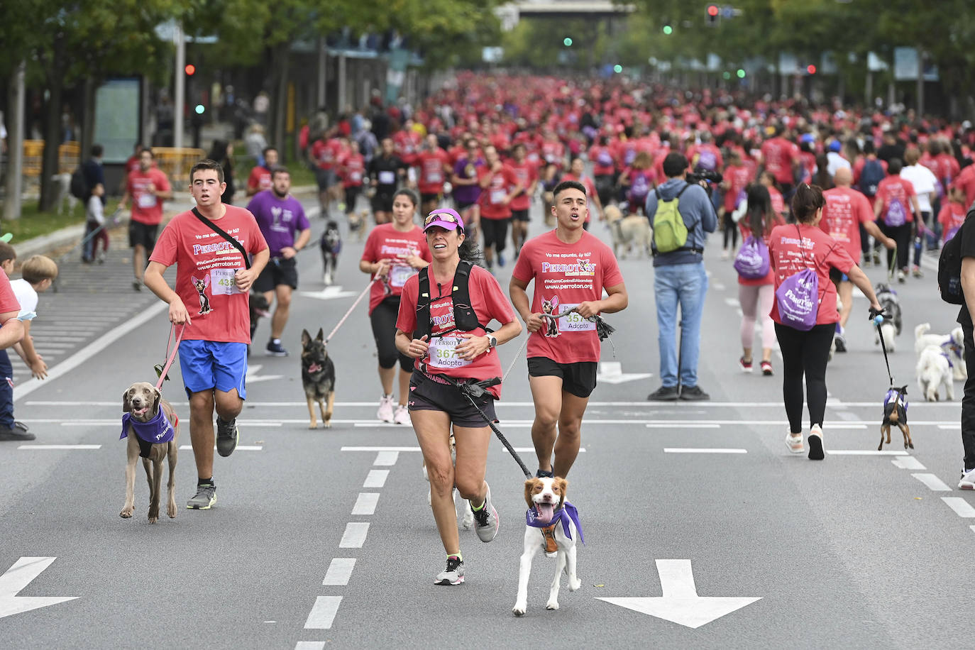 Fotos: Perrotón Madrid 2022