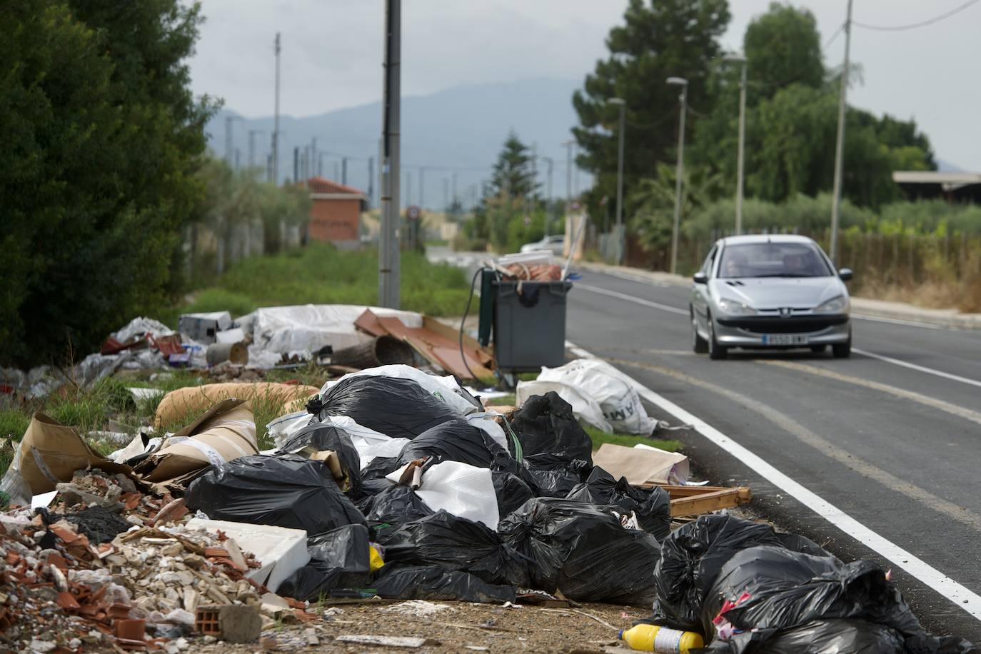 Fotos: Crecen las quejas por la falta de limpieza en Murcia