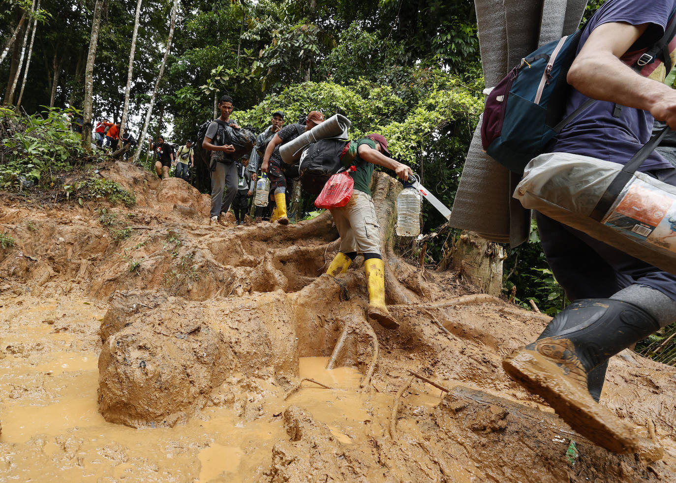 Fotos: A través de la selva