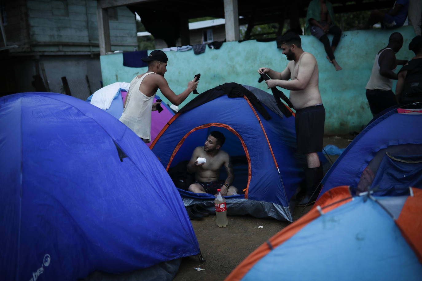 Fotos: A través de la selva