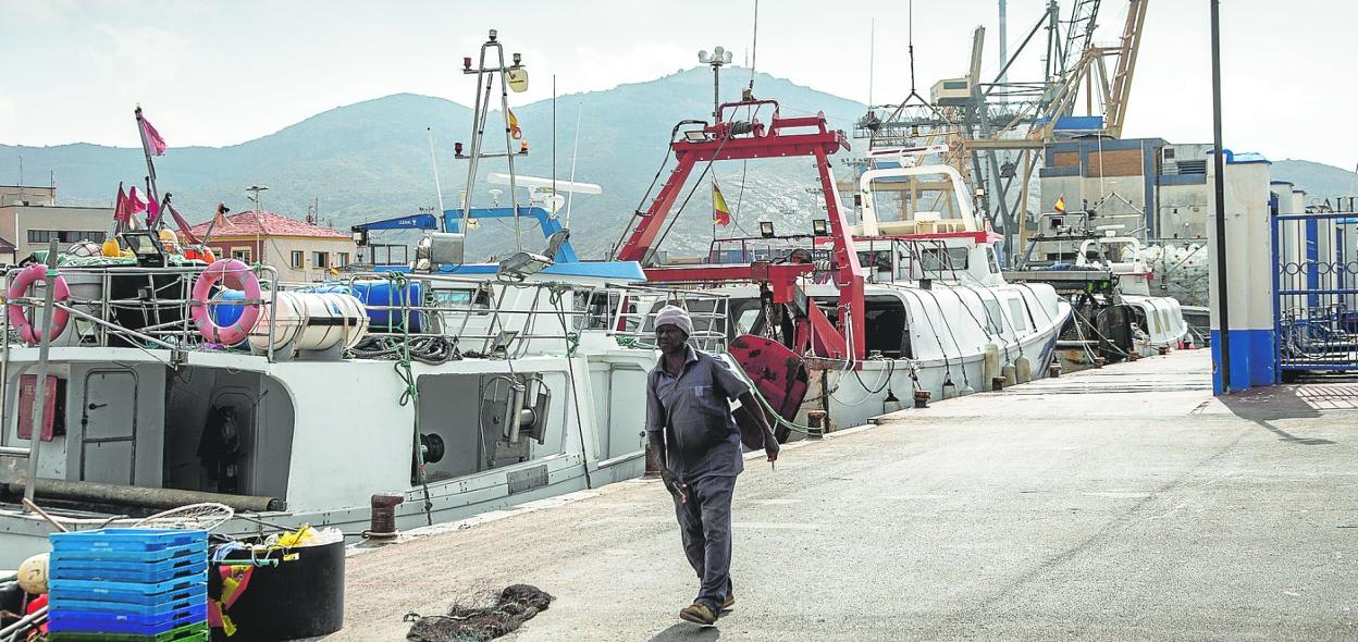 Un redero pasa frente a tres barcos de arrastre atracados en el muelle de la Cofradía de Pescadores, por la reducción de días de faena. 