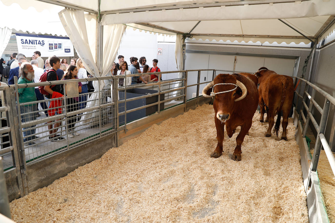 Fotos: Inauguración de la feria ganadera y agroalimentaria Sepor en Lorca