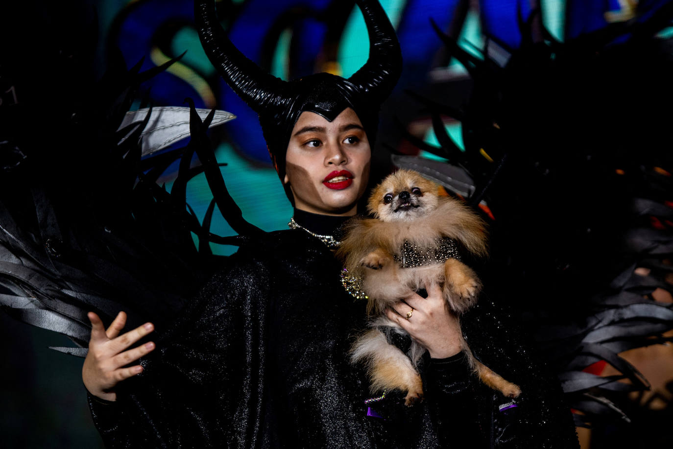 Fotos: Halloween para mascotas