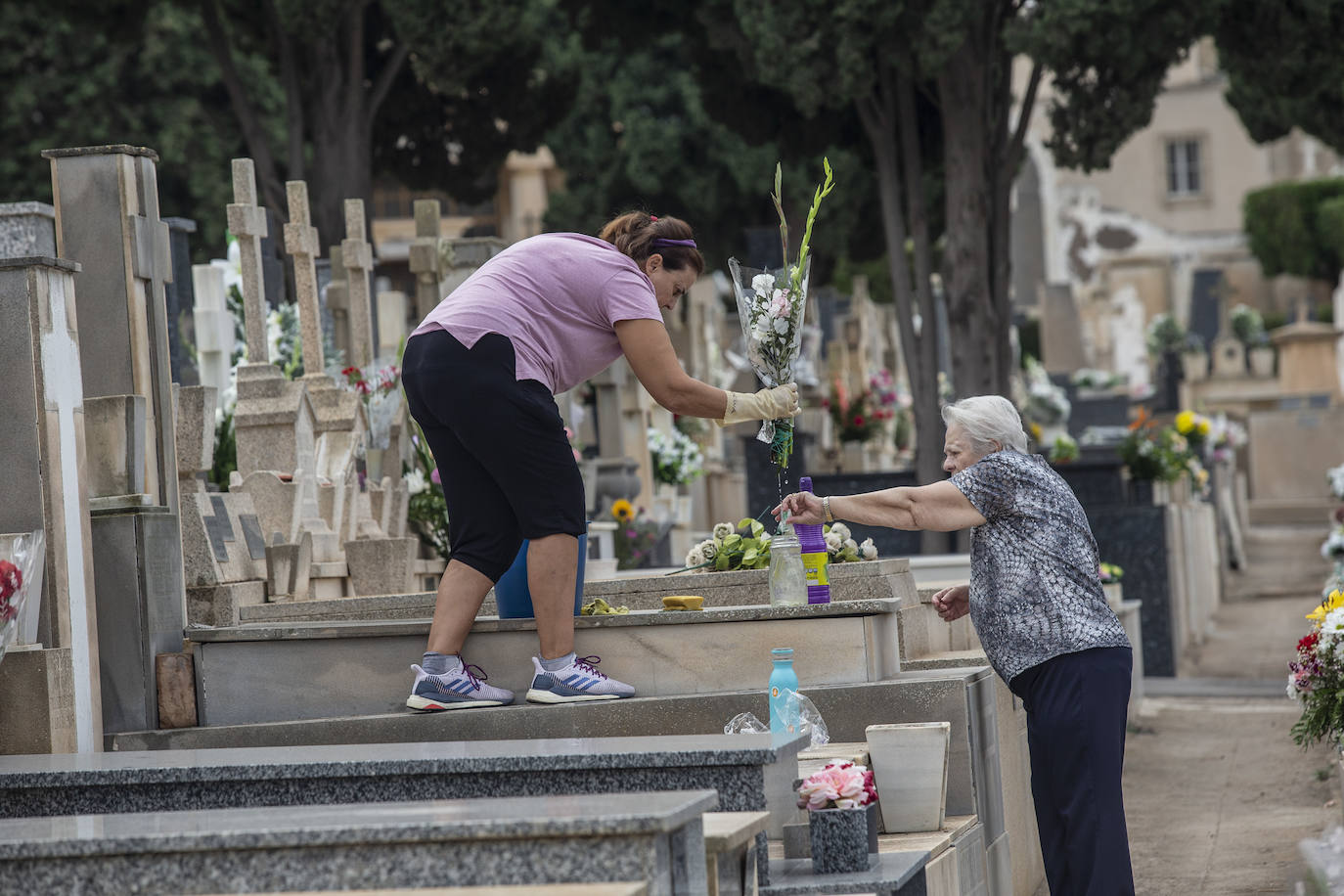 Fotos: Preparativos en el cementerio de Cartagena