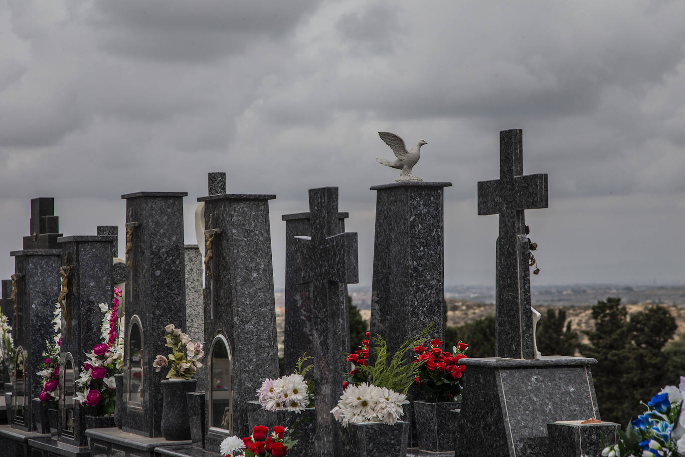 Fotos: Preparativos en el cementerio de Cartagena