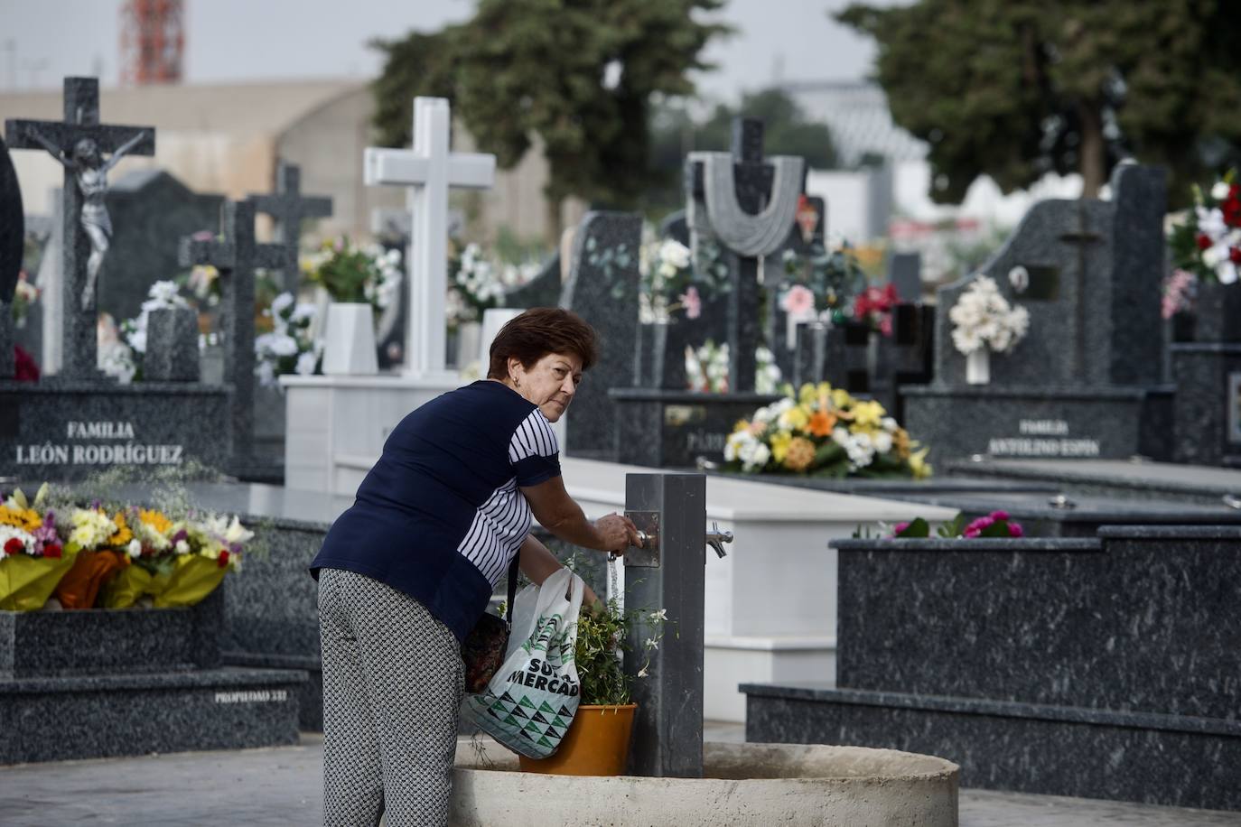 Fotos: Colas para acceder al cementerio de Murcia en la víspera del festivo