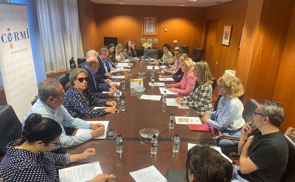 Reunión de miembros del Partido Popular con el Cermi.