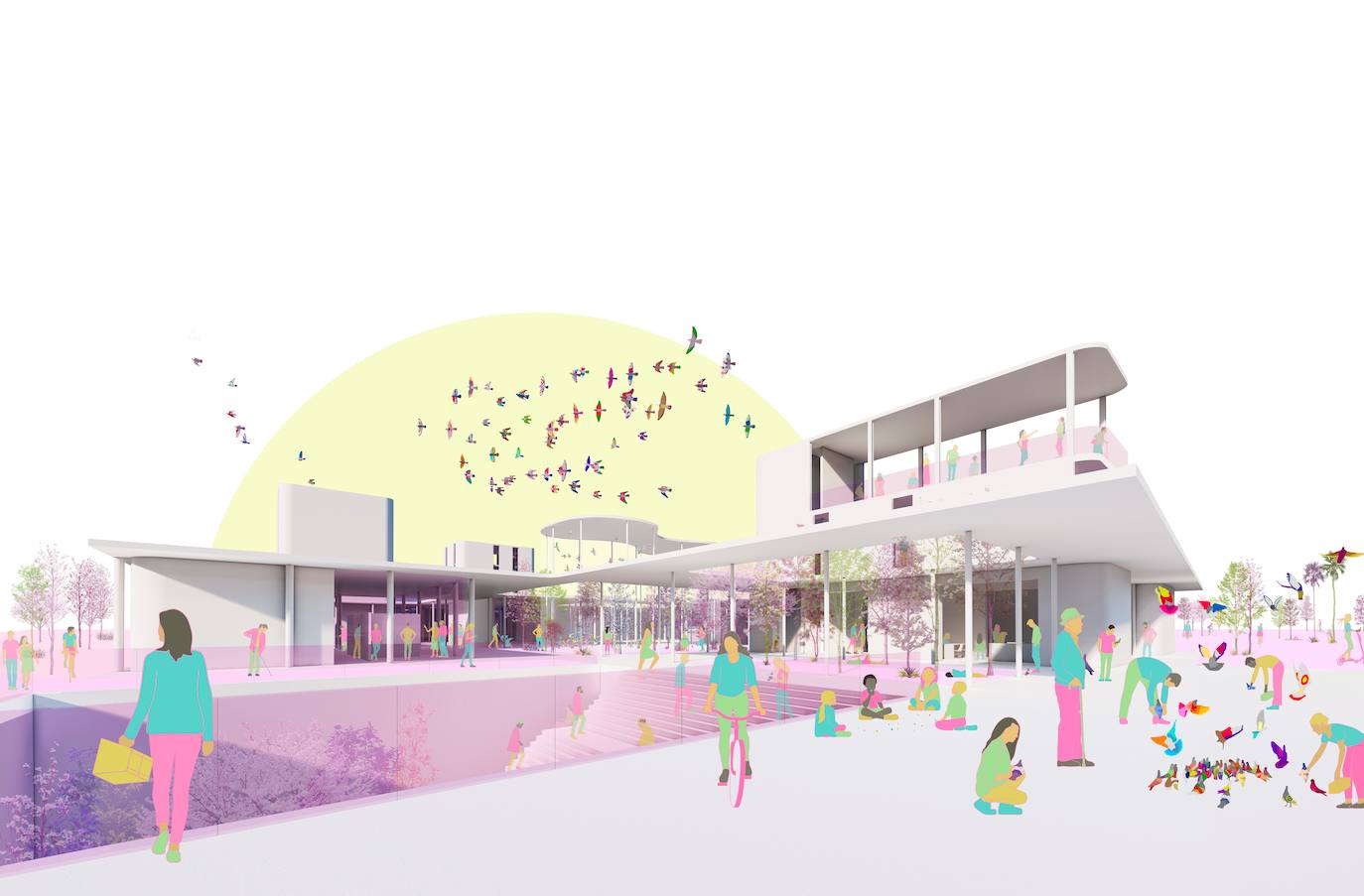 Fotos: Simbiosis arquitectónica entre palomo y hombre, en imágenes