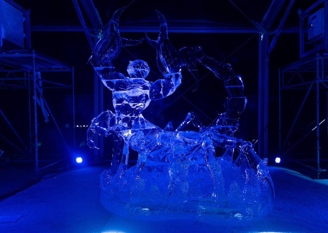 Fotos: Festival de Esculturas de Hielo