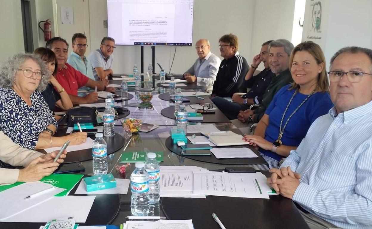 Comité Ejecutivo Autonómico de Satse, reunido este viernes.