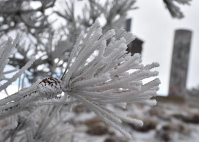 Imagen secundaria 1 - Paisajes nevados en el Pico del Obispo, este sábado.