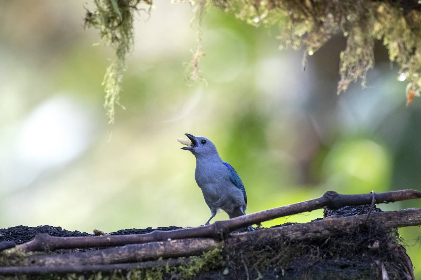 Fotos: Paraíso del &#039;birdwatching&#039;