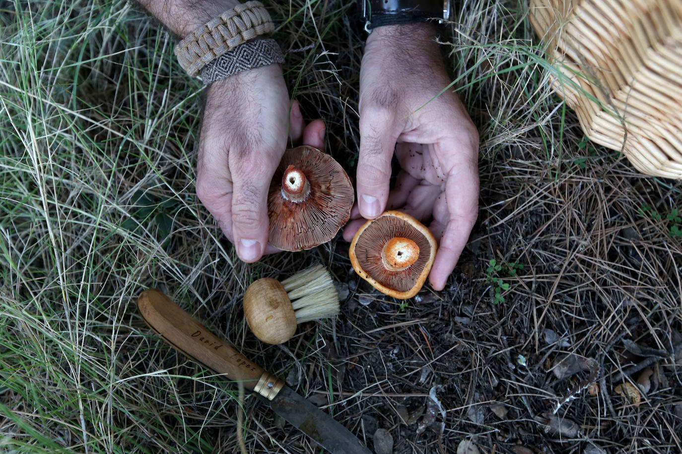 Fotos: Un tesoro culinario en la montaña de Moratalla