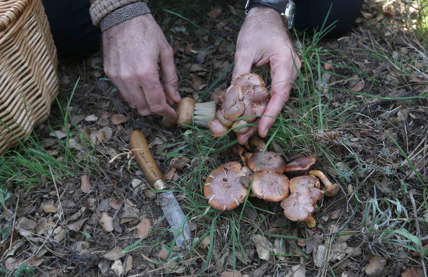 Fotos: Un tesoro culinario en la montaña de Moratalla