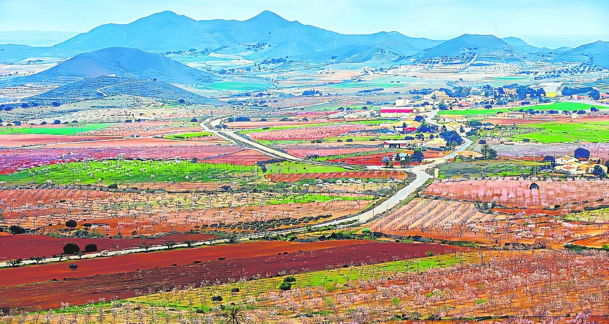 Panorámica de la zona de Campo Nubla.