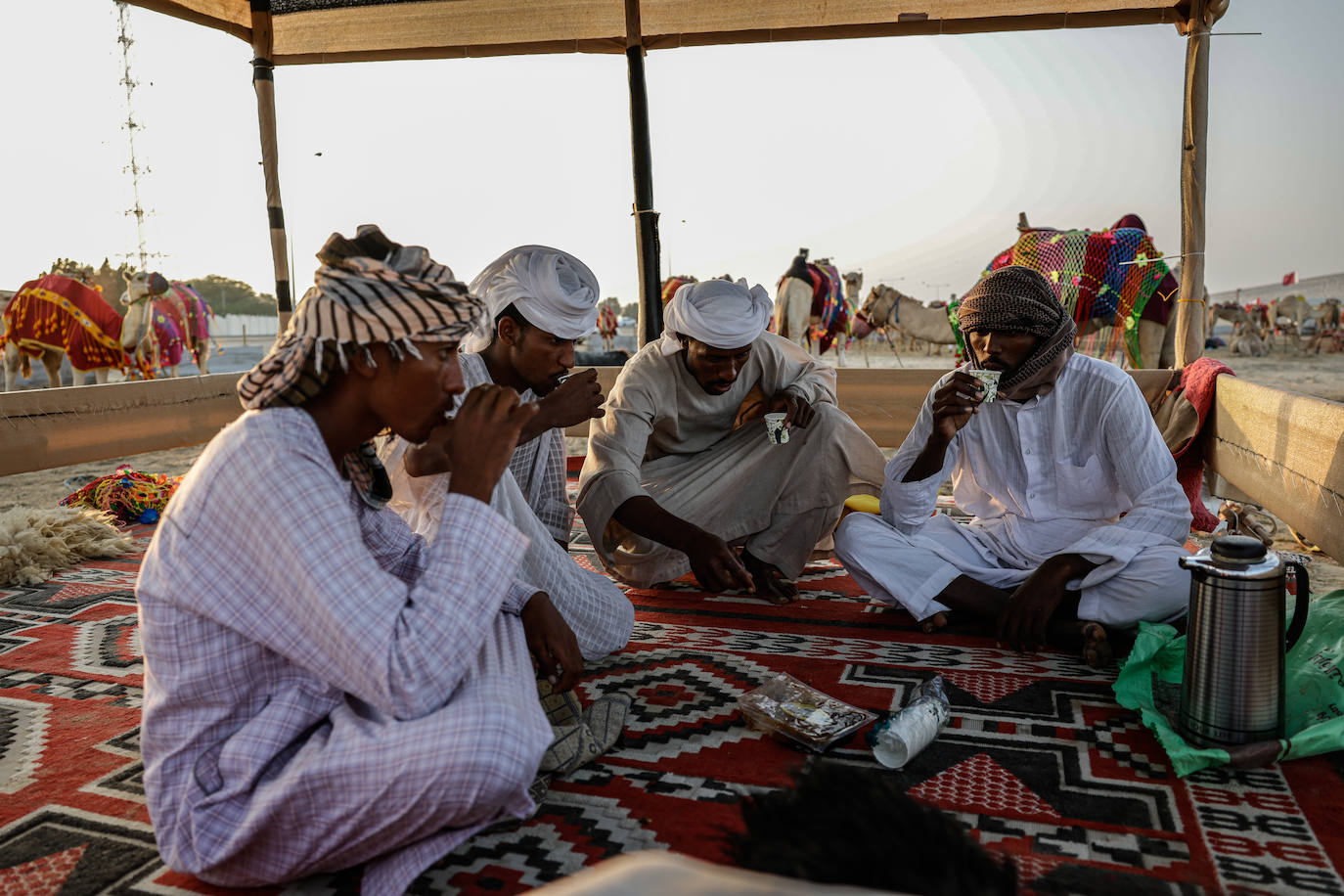 Fotos: Paseos en camello