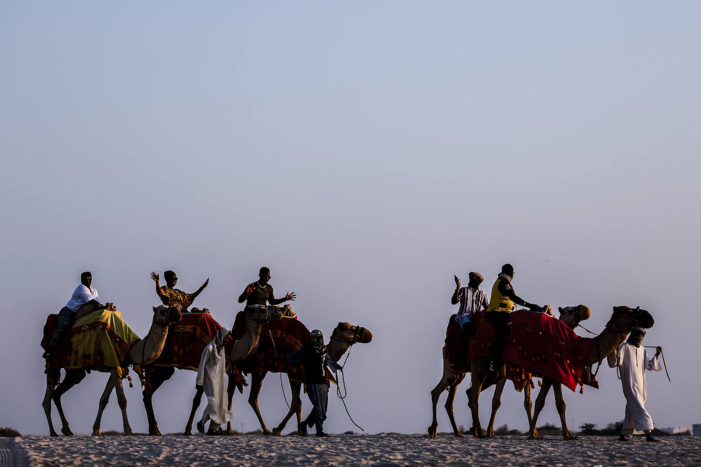 Fotos: Paseos en camello