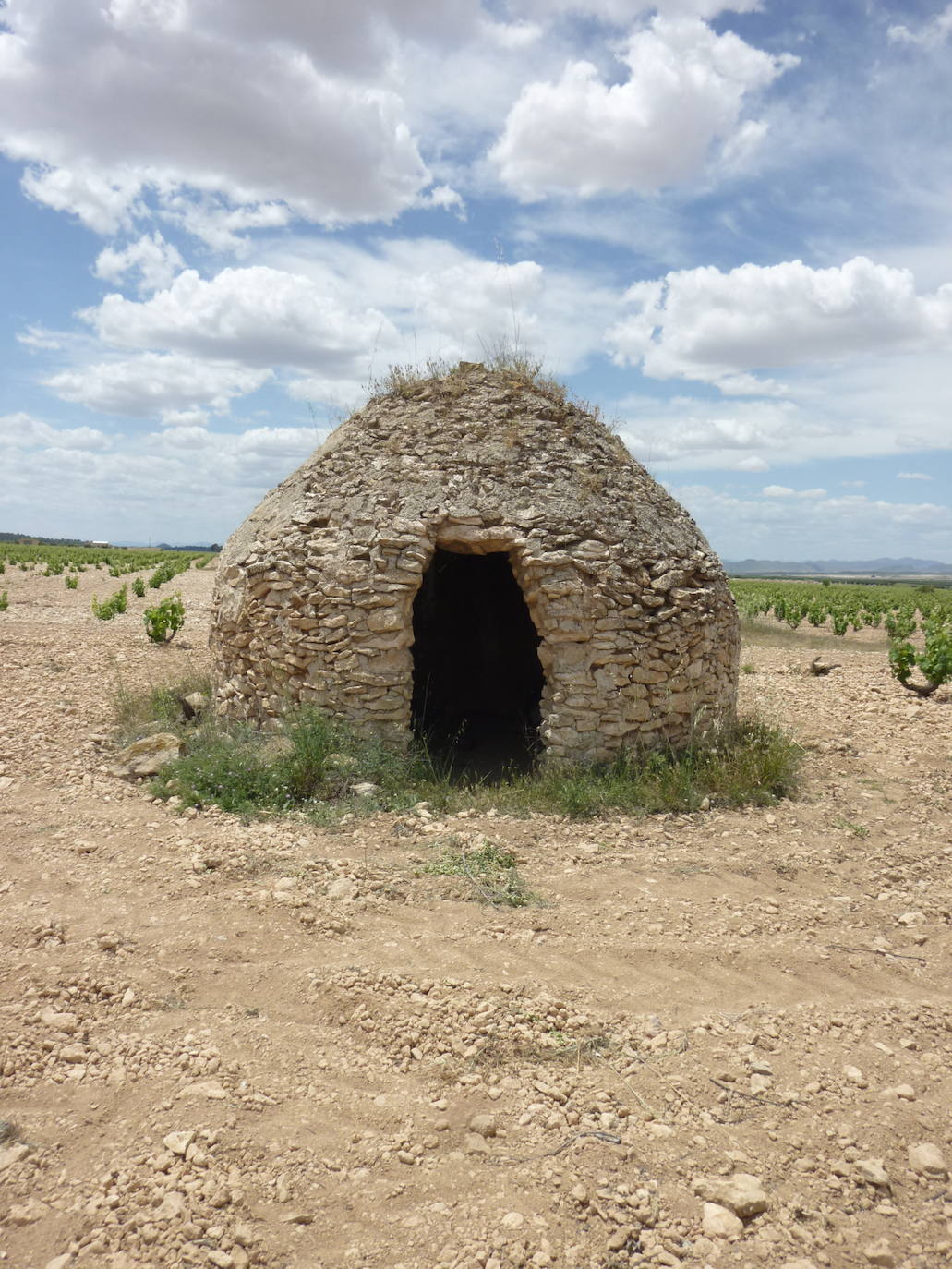 Cuco del Pajero 