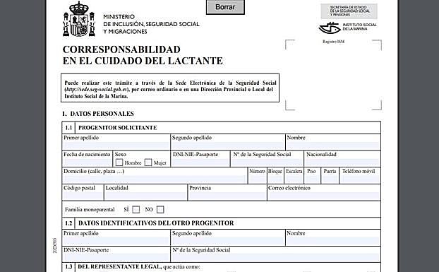 Imagen del modelo de la solicitud.