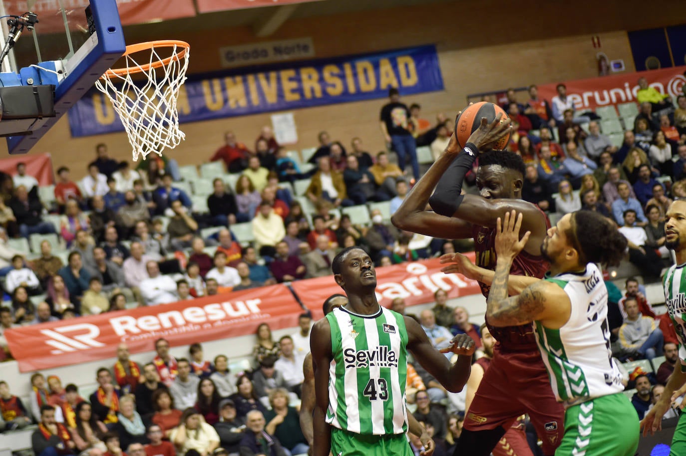 Fotos: La victoria del UCAM Murcia ante el Real Betis, en imágenes