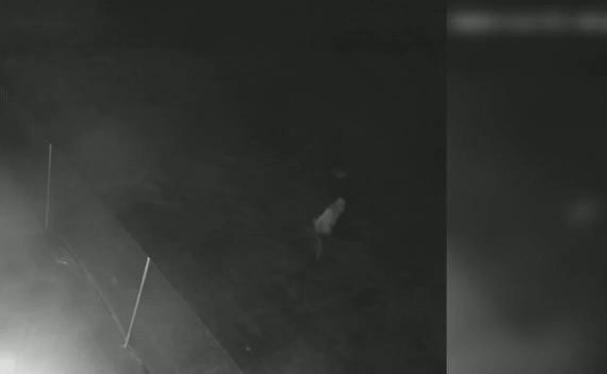 Fotograma de una de las cámaras de seguridad de los vecinos que muestra a los ladrones caminando. 