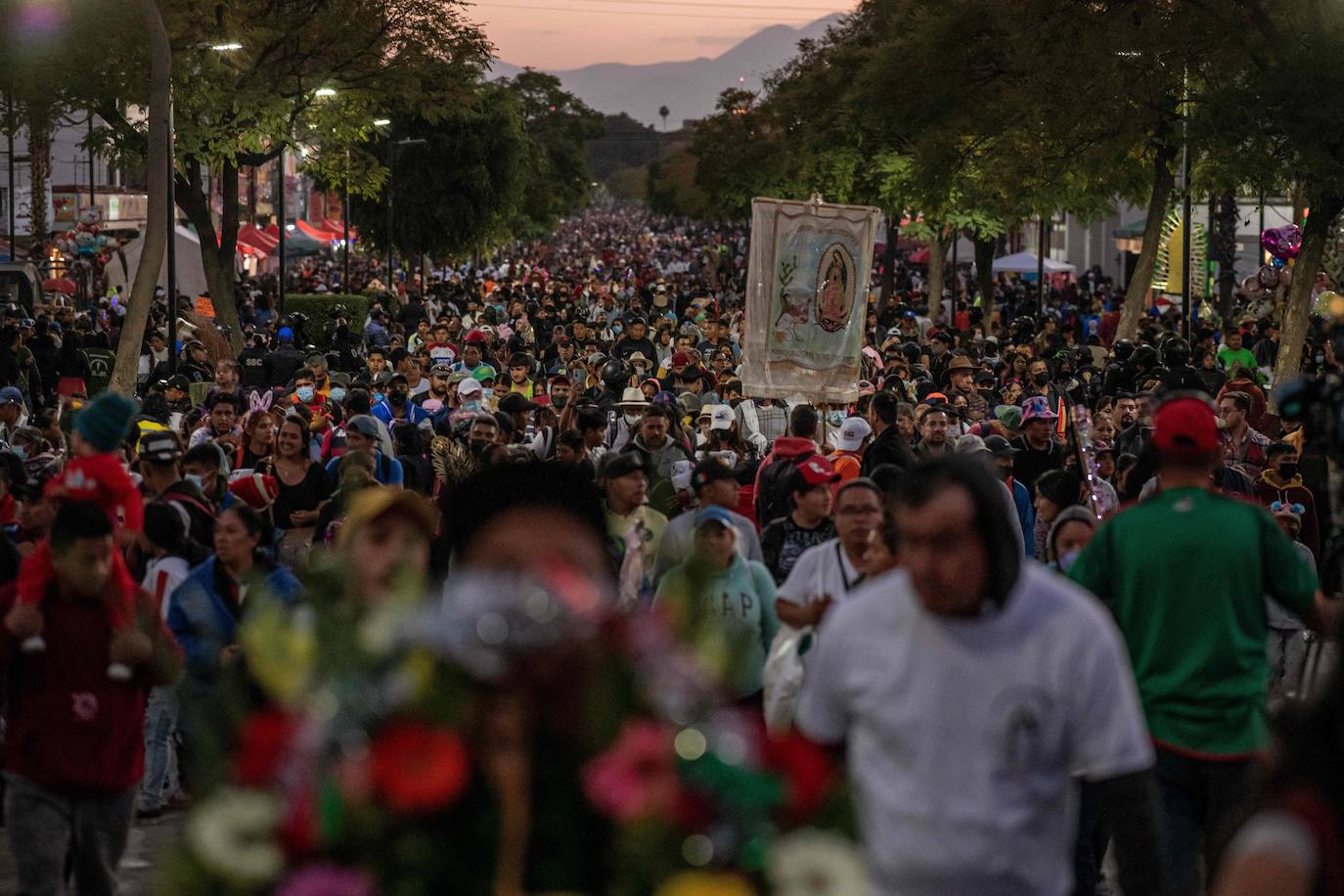 Fotos: Rendidos a la Virgen de Guadalupe