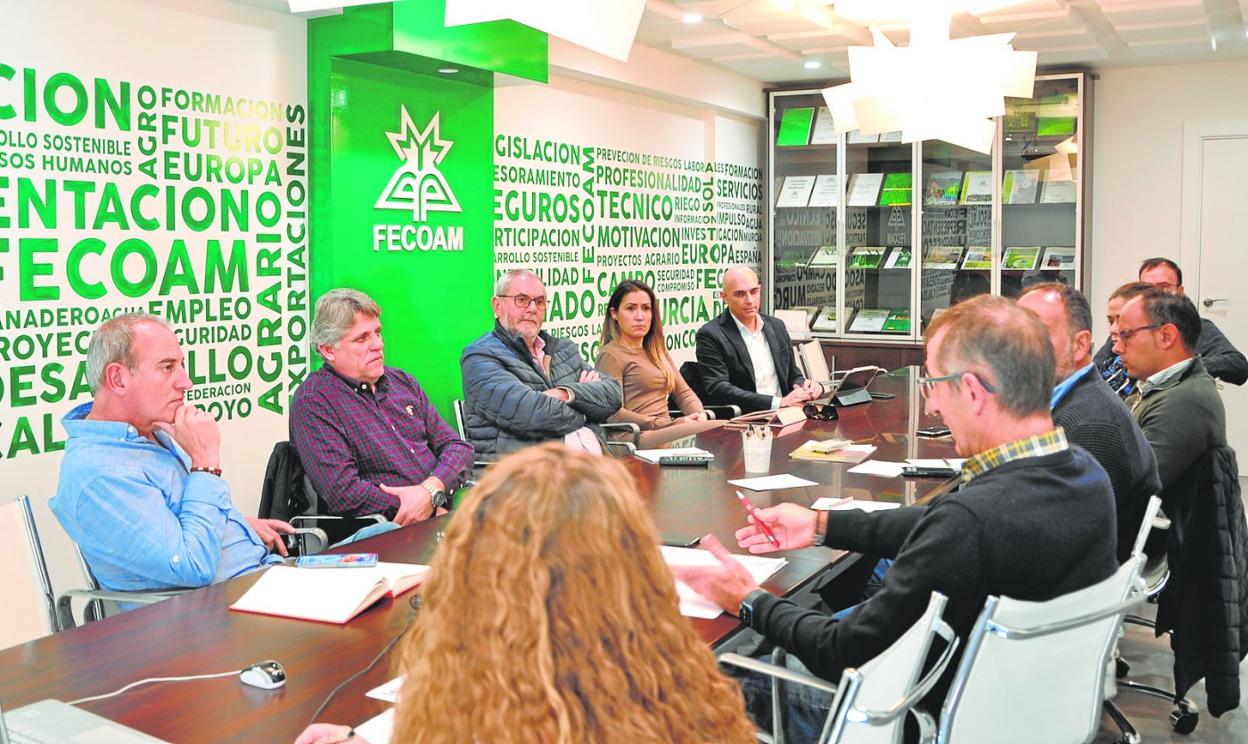 Reunión sectorial de hortalizas con representantes de sus cooperativas agrarias. 