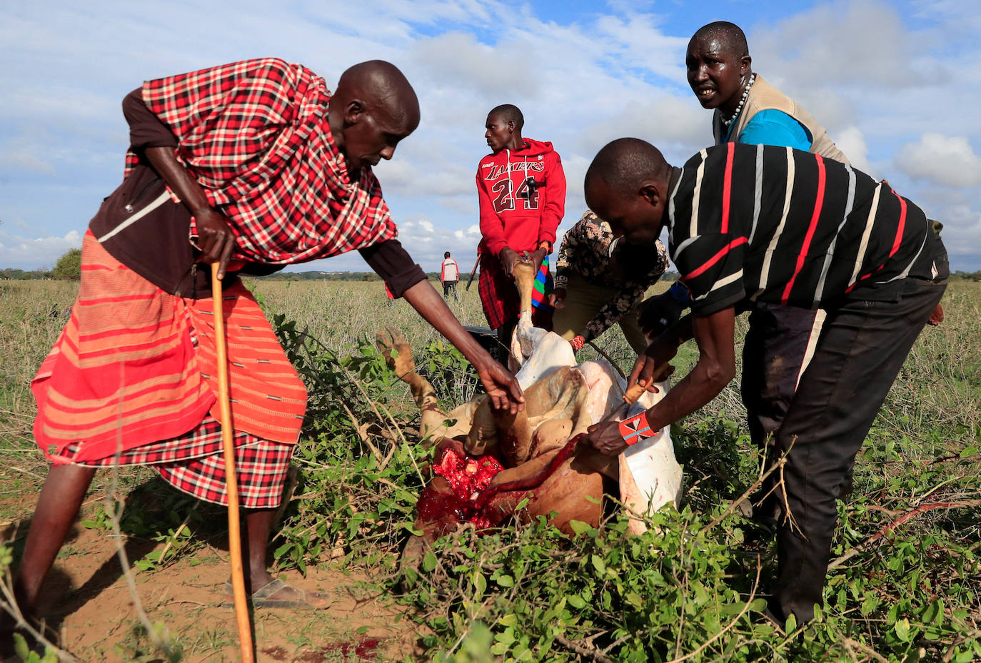 Fotos: Olimpiadas Masái en Kenia